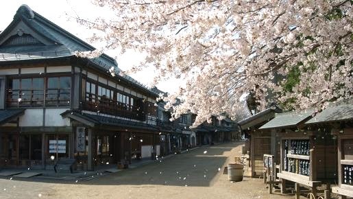 <Web割対象商品>【キングツアーバス旅】フレッシュいちご!人気のホテル日航成田贅沢ビュッフェ&房総のむらでお花見タイムスリップ!〔新百合ヶ丘・調布発〕3